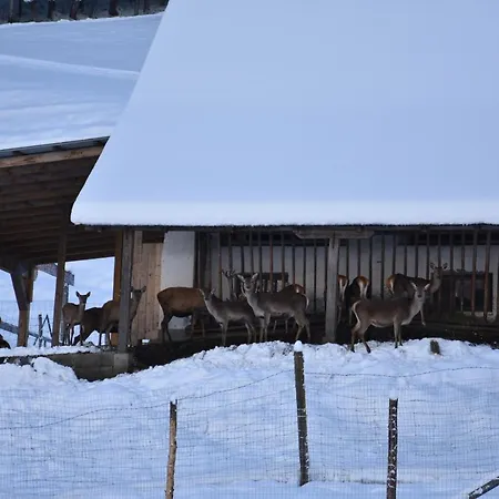 Krobath * Murau