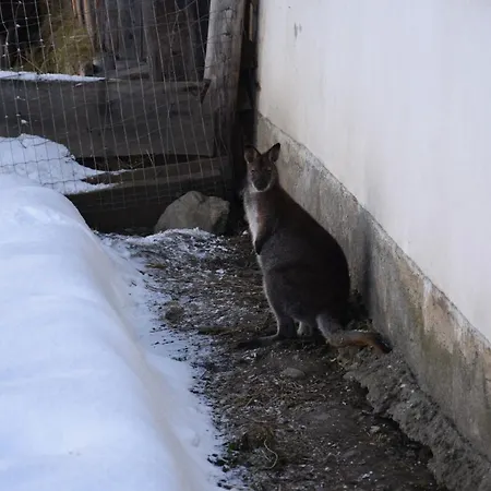 Krobath Appartement Murau