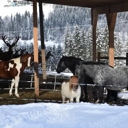 Krobath Apartment Murau