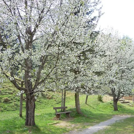 Apartamento Krobath Murau