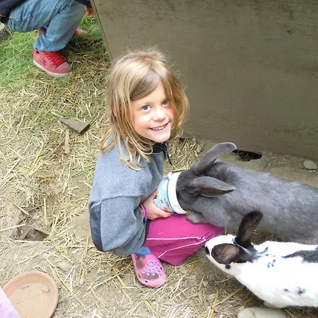 Apartamento Krobath *