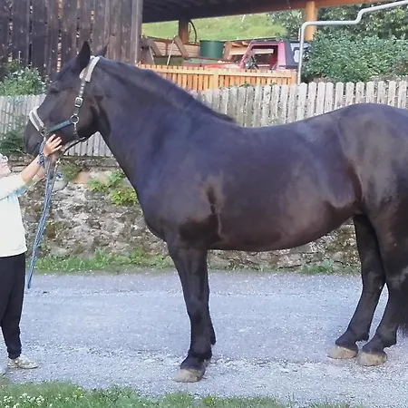 Appartement Krobath Murau