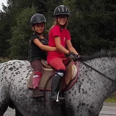 Apartamento Krobath Murau