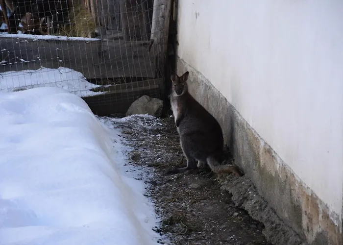 Krobath Lägenhet Murau