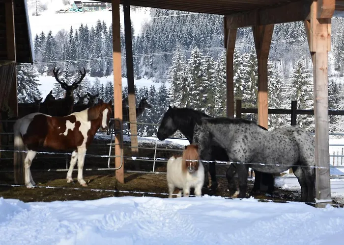 Krobath Lägenhet Murau