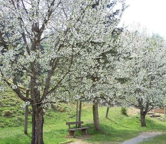 Lägenhet Krobath Murau