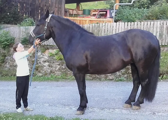 Lägenhet Krobath Murau