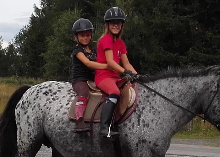 Lägenhet Krobath Murau